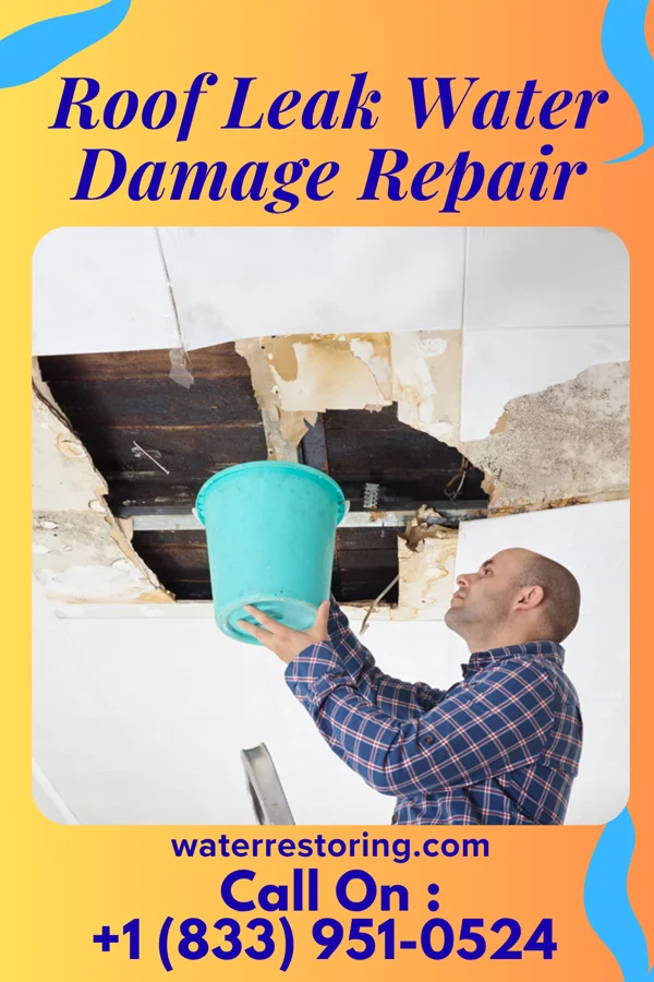 Roof Leak Water Damage Repair in McCaulley, TX